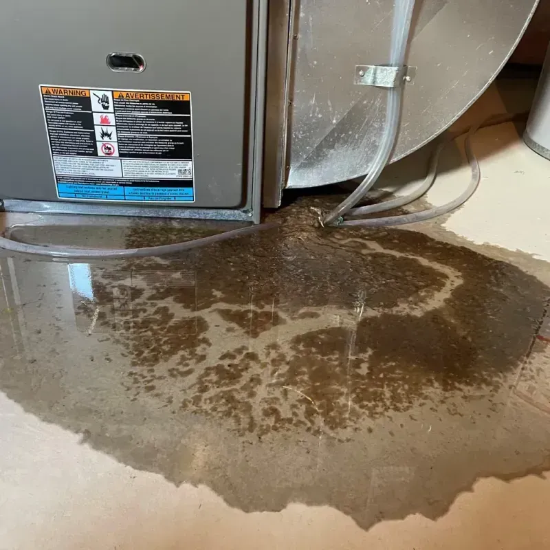 Appliance Leak Cleanup in Hazleton, PA